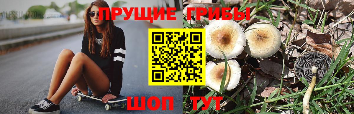 Галлюциногенные грибы GOLDEN TEACHER Алушта