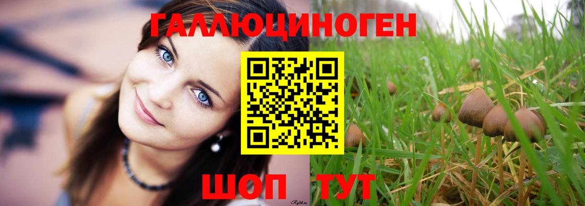 хочу   Галлюциногенные грибы прущие грибы  Вход с VPN  Псилоцибиновые грибы Psilocybe  Алушта 